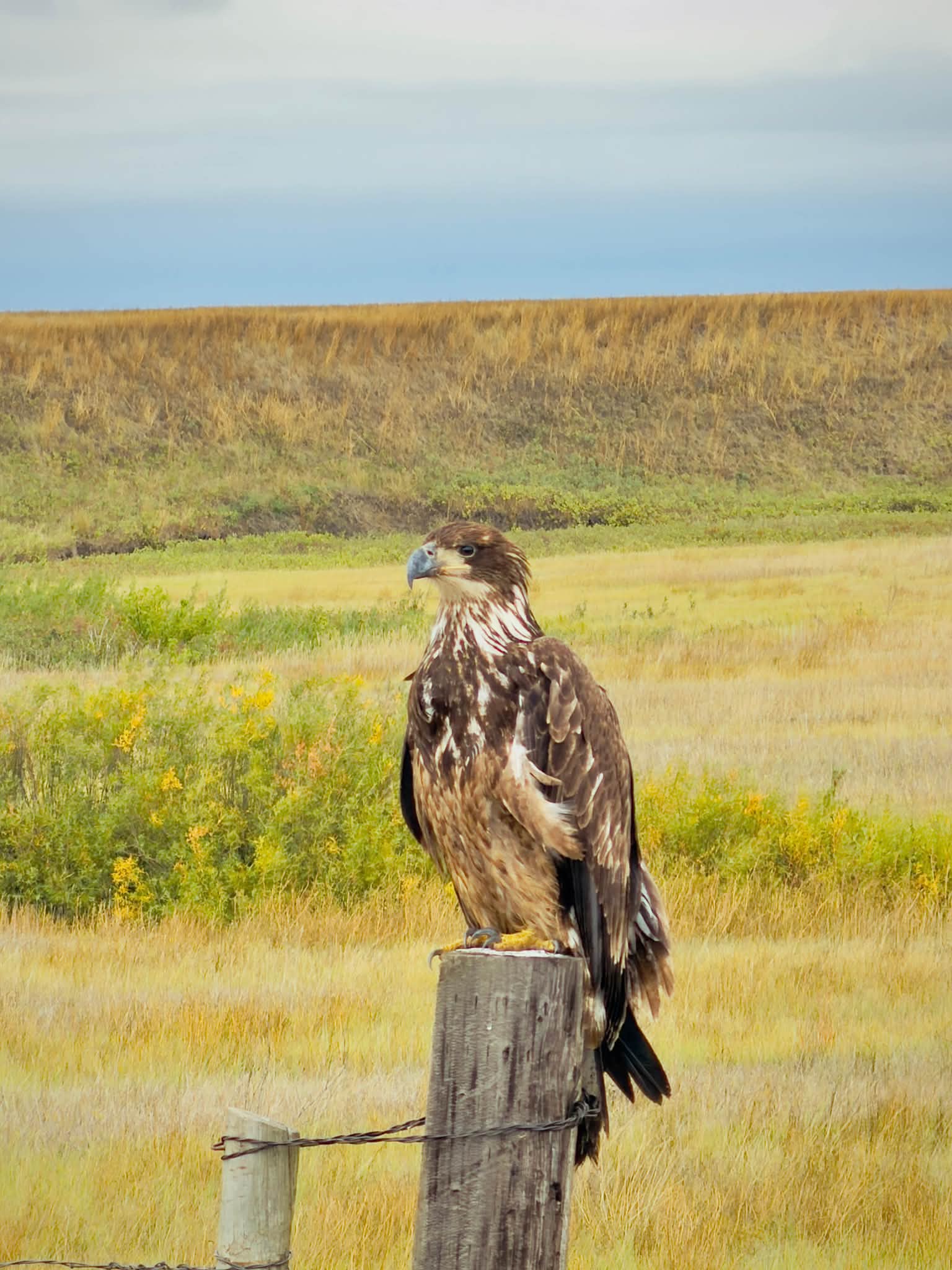 Images from the 2026 South Dakota Archery Antelope Hunt